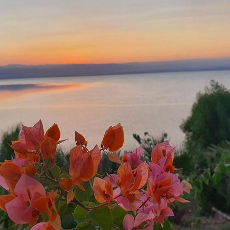 Comfy Stays Sea View Apartments At Deadsea Samarah Resort Sweimeh Εξωτερικό φωτογραφία
