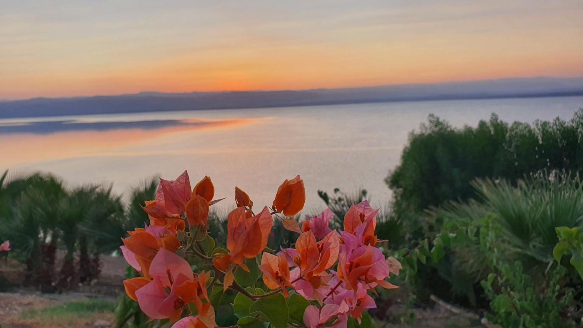 Comfy Stays Sea View Apartments At Deadsea Samarah Resort Sweimeh Εξωτερικό φωτογραφία